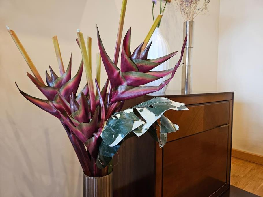 640a Laura Apartamento *